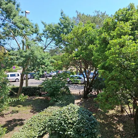 T2 A - Plages Et Commerces A Pied Apartament Seignosse